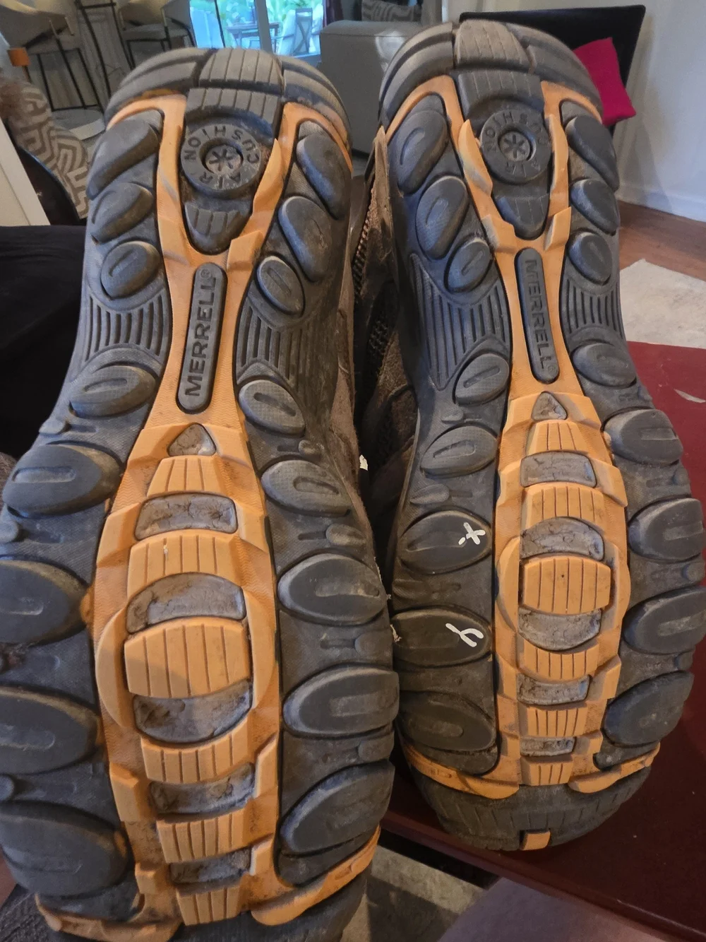 Men's Brown Hiking Shoes - MERRELL Style